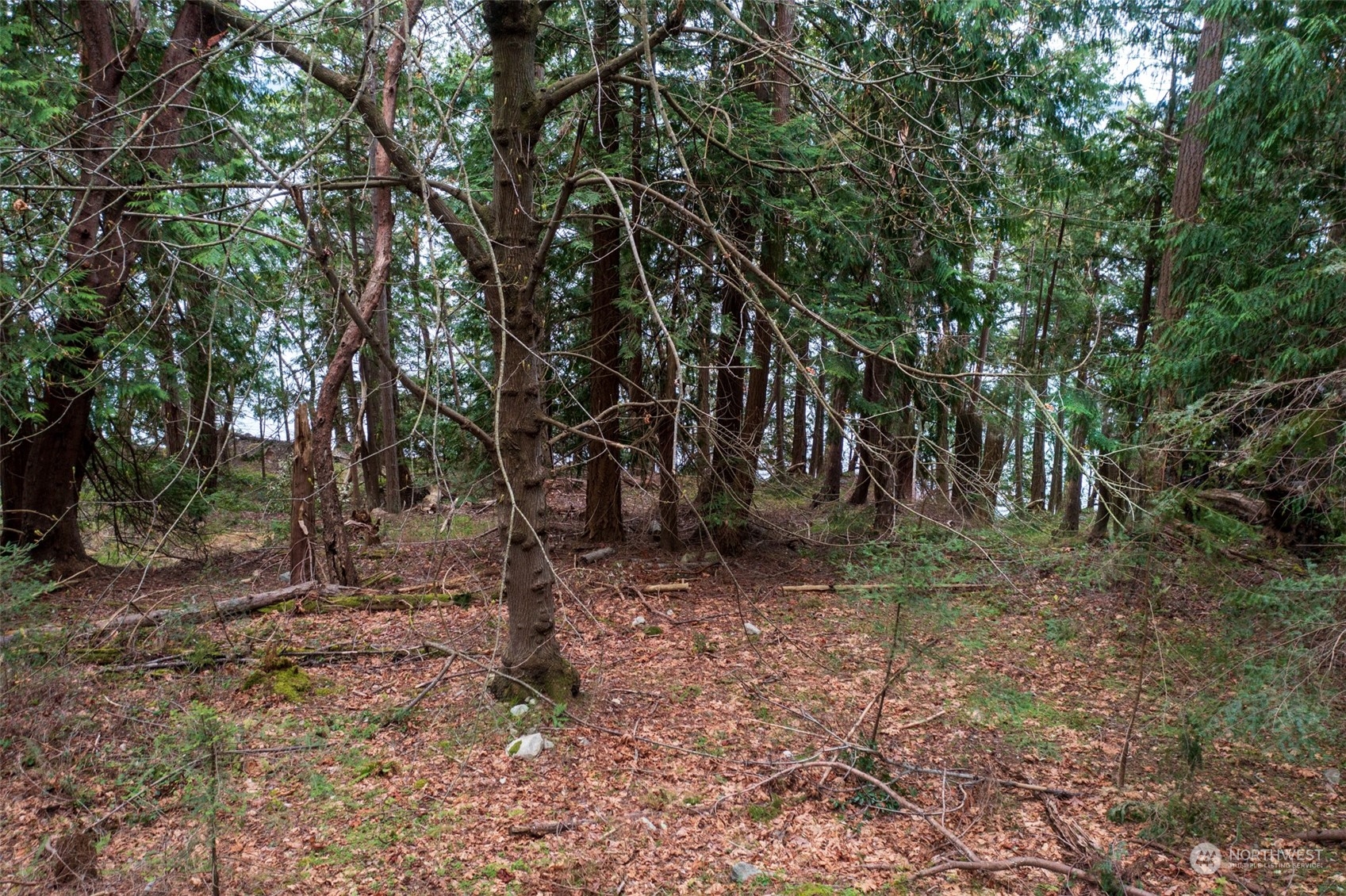 0 XX Spring Point Road