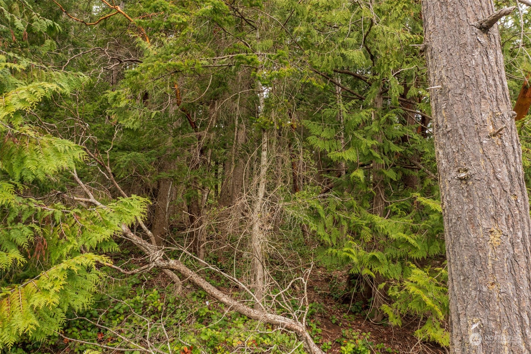 0 XX Spring Point Road