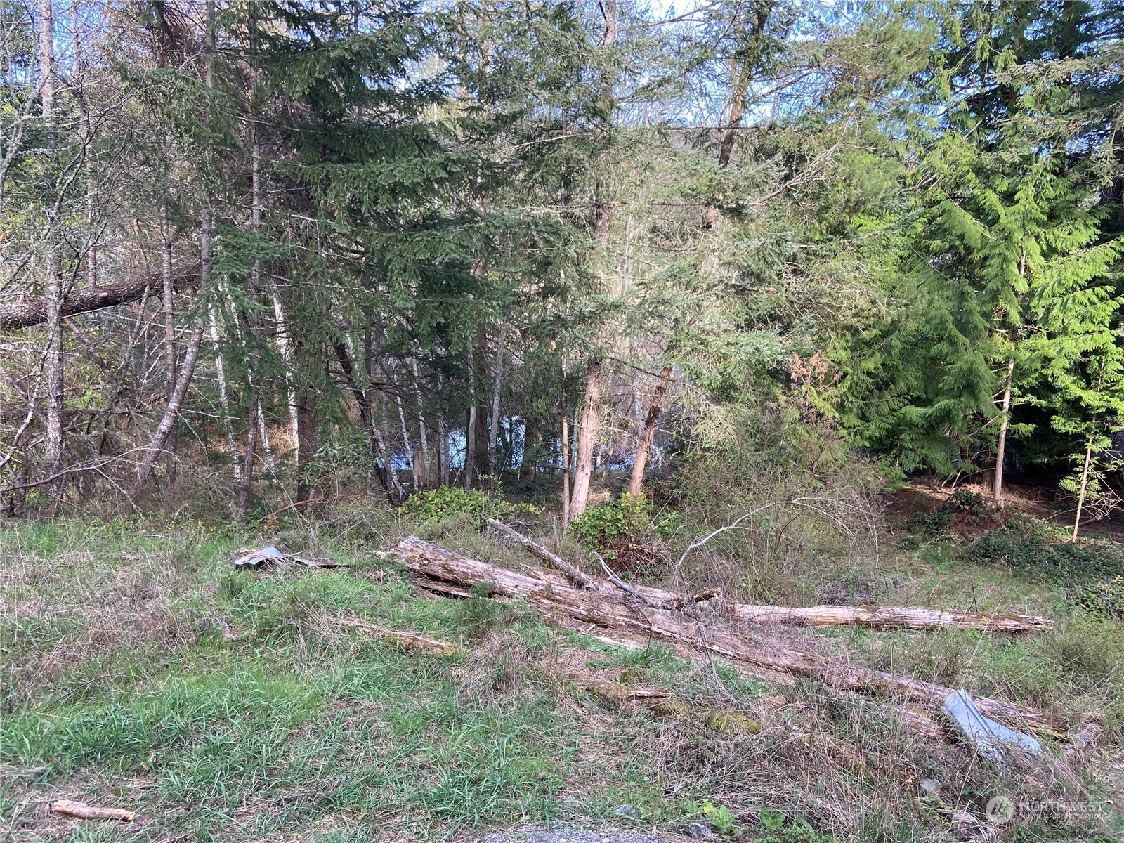 363 Teal Lane
