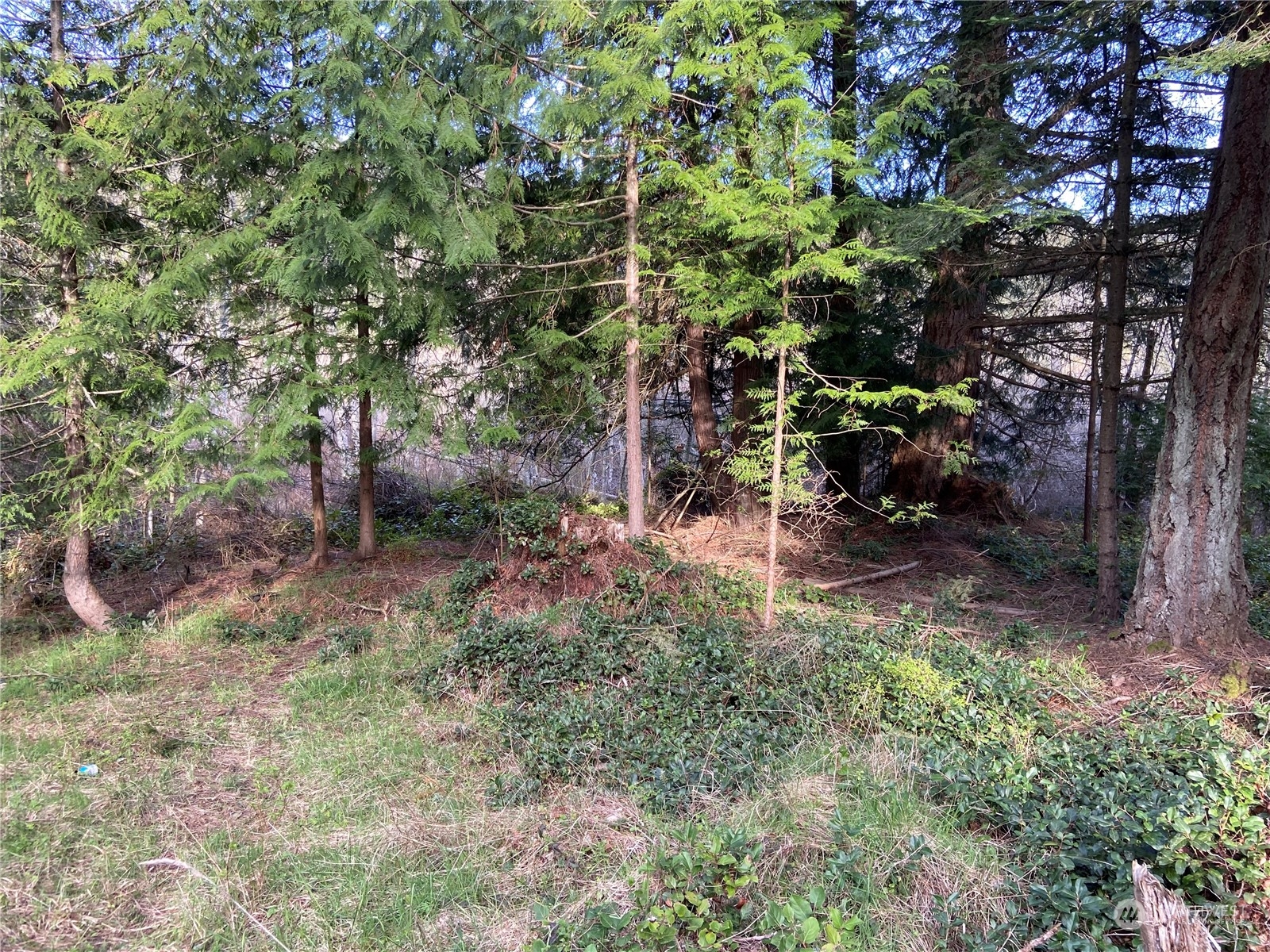 363 Teal Lane