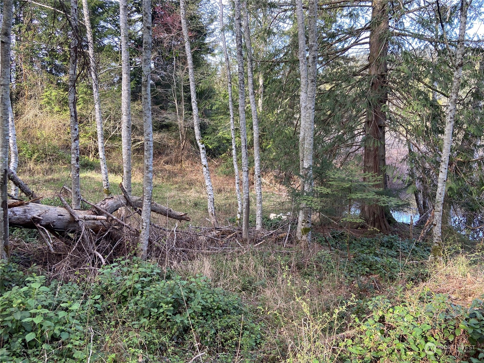 363 Teal Lane