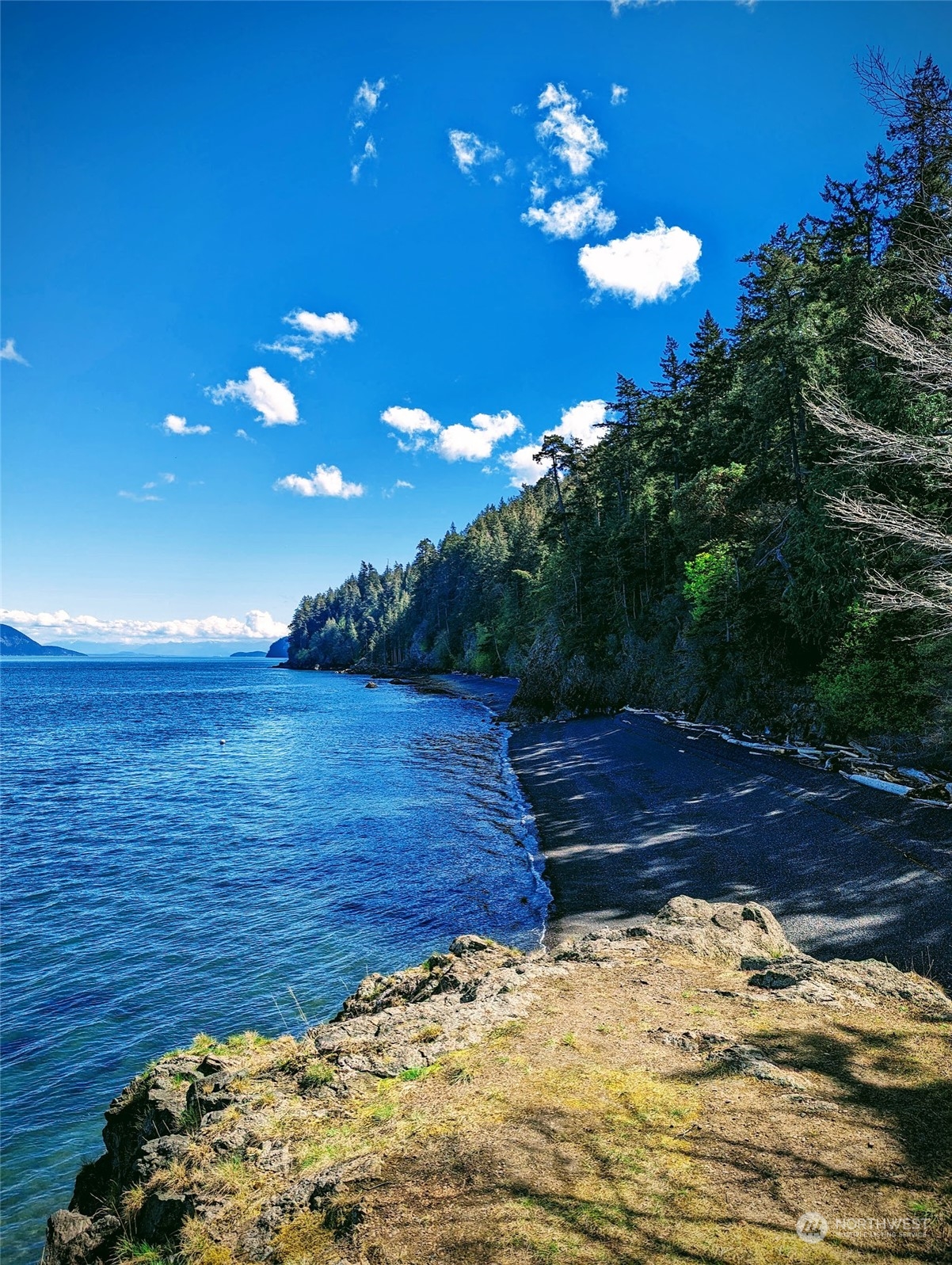 2878 Raccoon Point Road