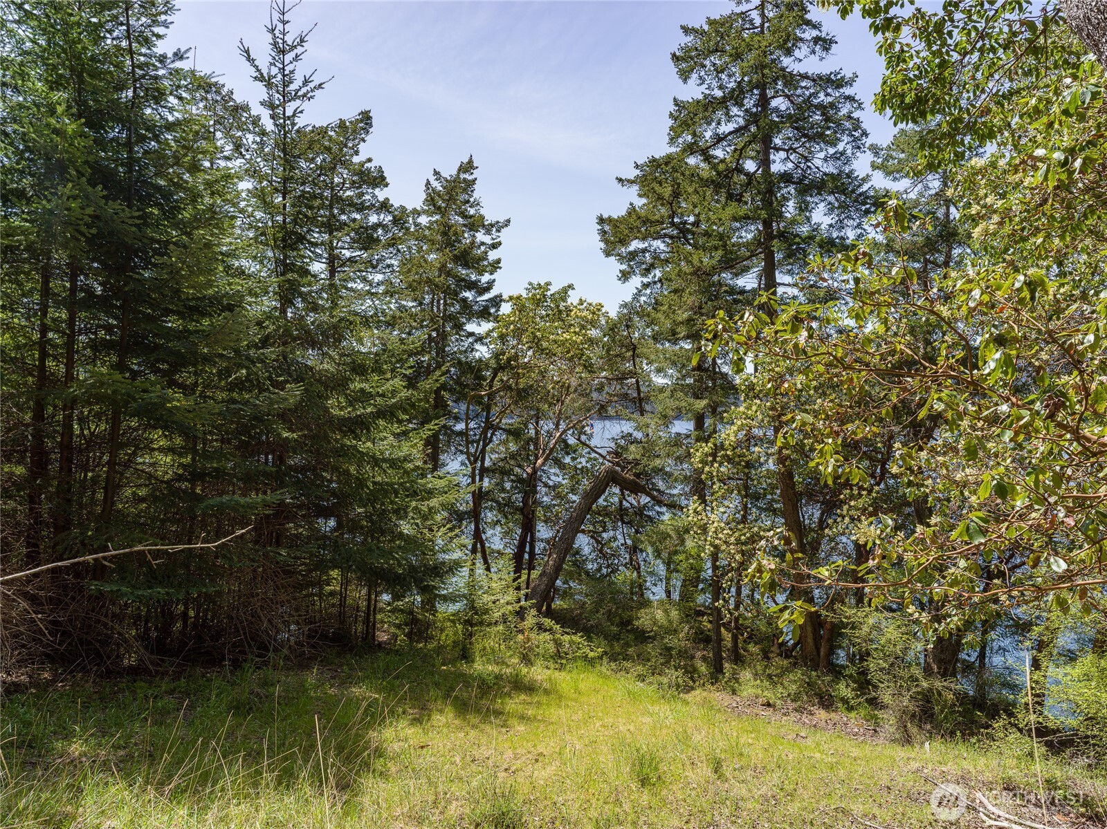 210 Sunlight Cove Road