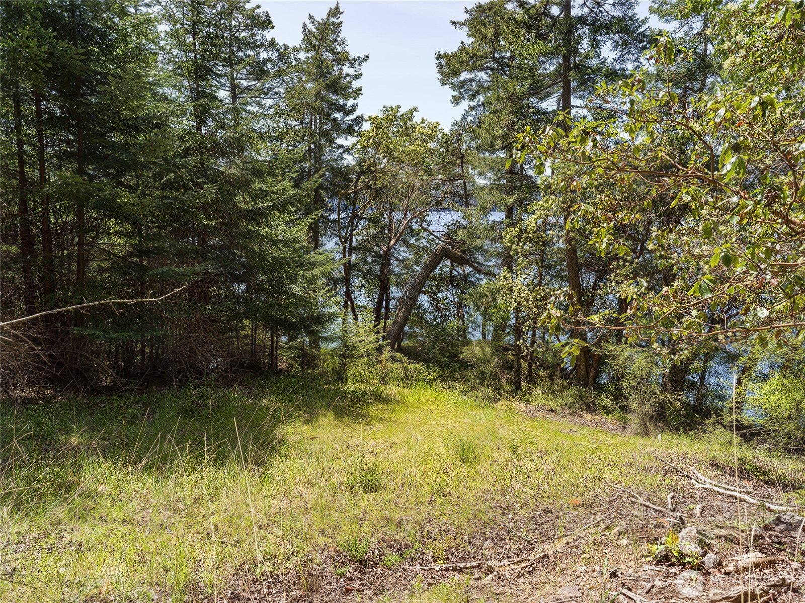 210 Sunlight Cove Road