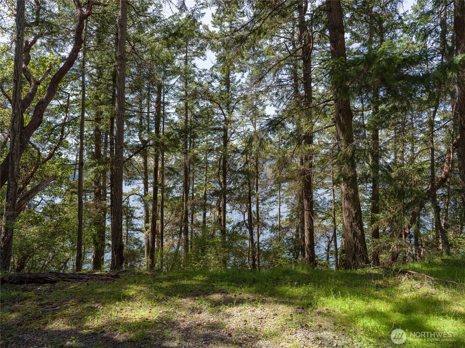 210 Sunlight Cove Road