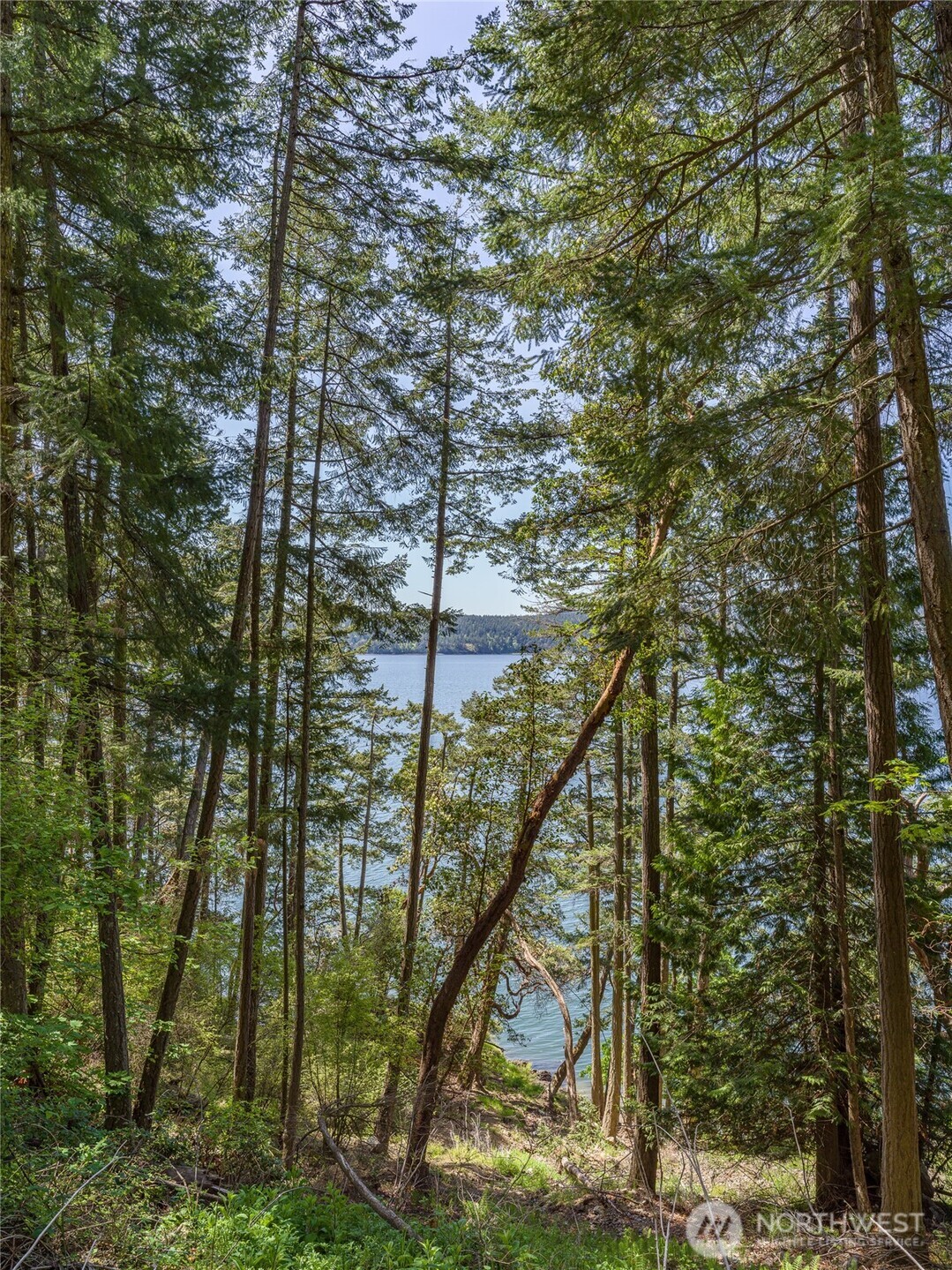 210 Sunlight Cove Road