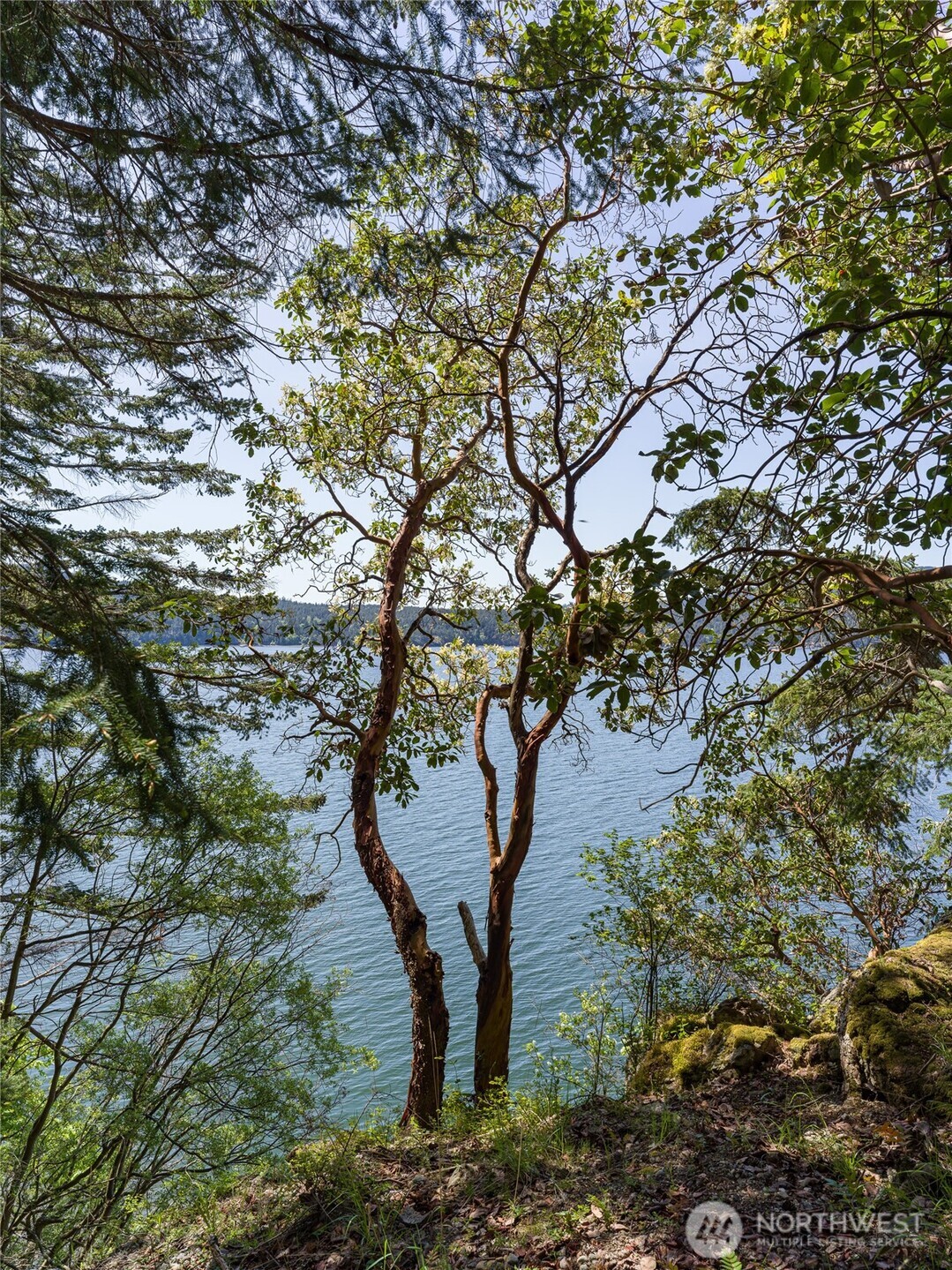 210 Sunlight Cove Road