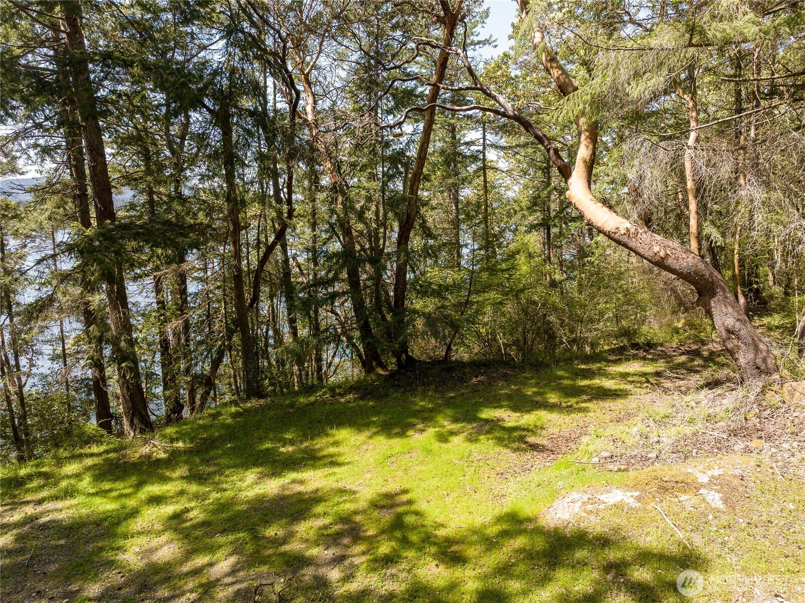 210 Sunlight Cove Road