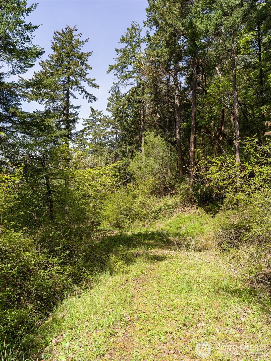 210 Sunlight Cove Road