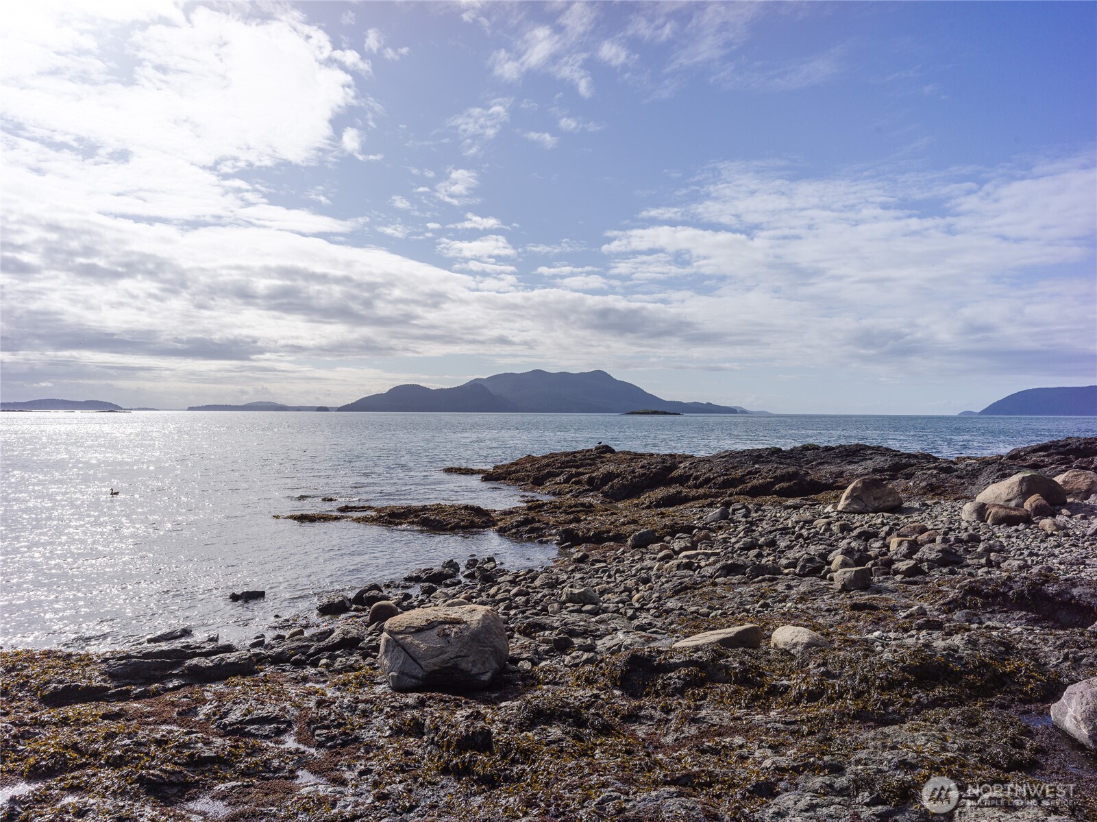 557 Old Sentinel Road