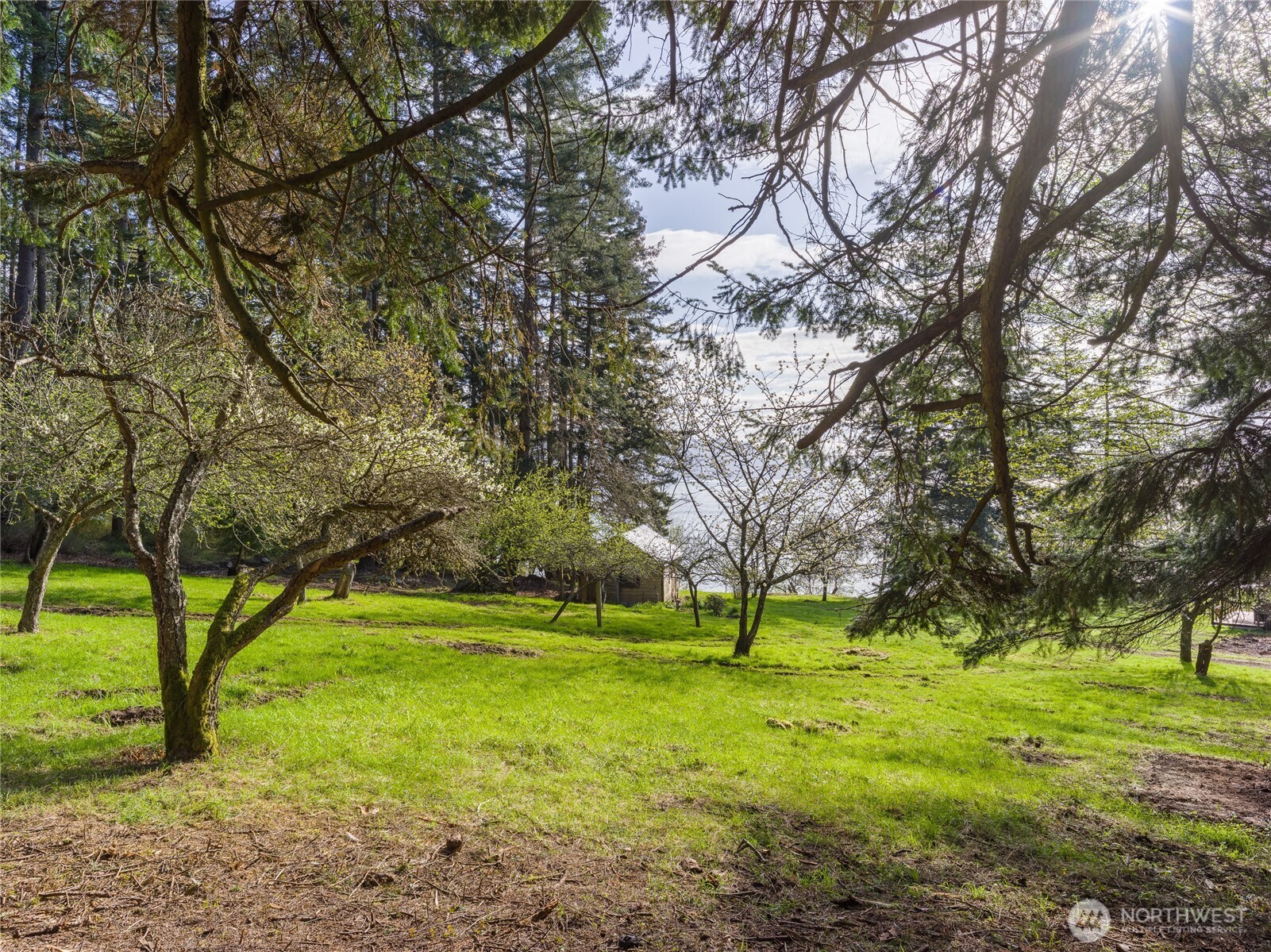 557 Old Sentinel Road