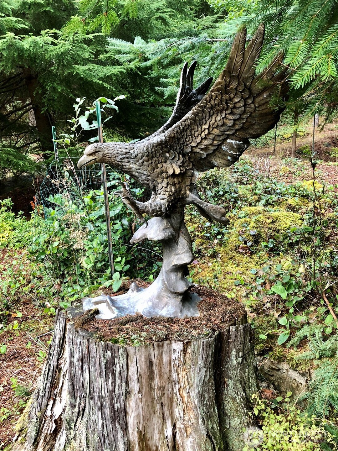 1656 Eagle Ridge Road