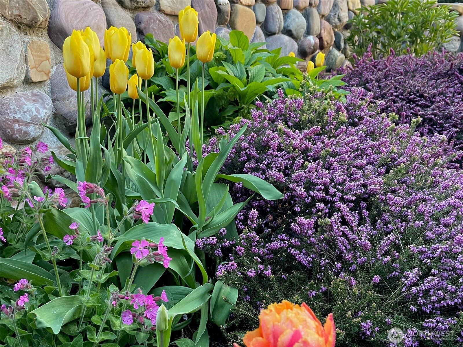 1656 Eagle Ridge Road