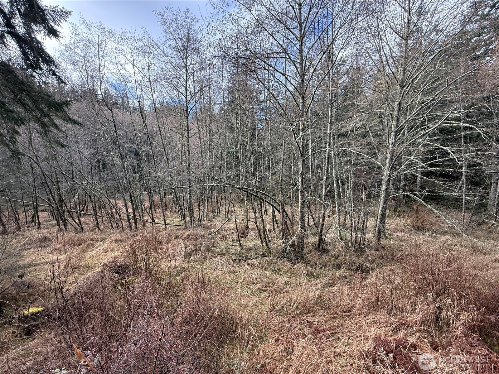 4534 Point Lawrence Road