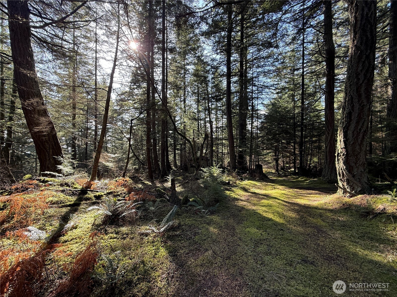 4534 Point Lawrence Road