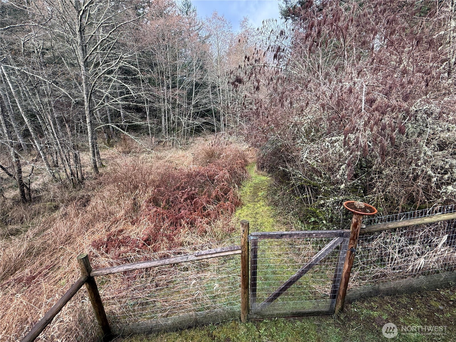 4534 Point Lawrence Road