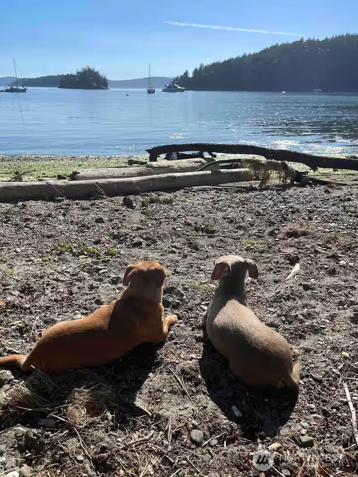 5244 Deer Harbor Road