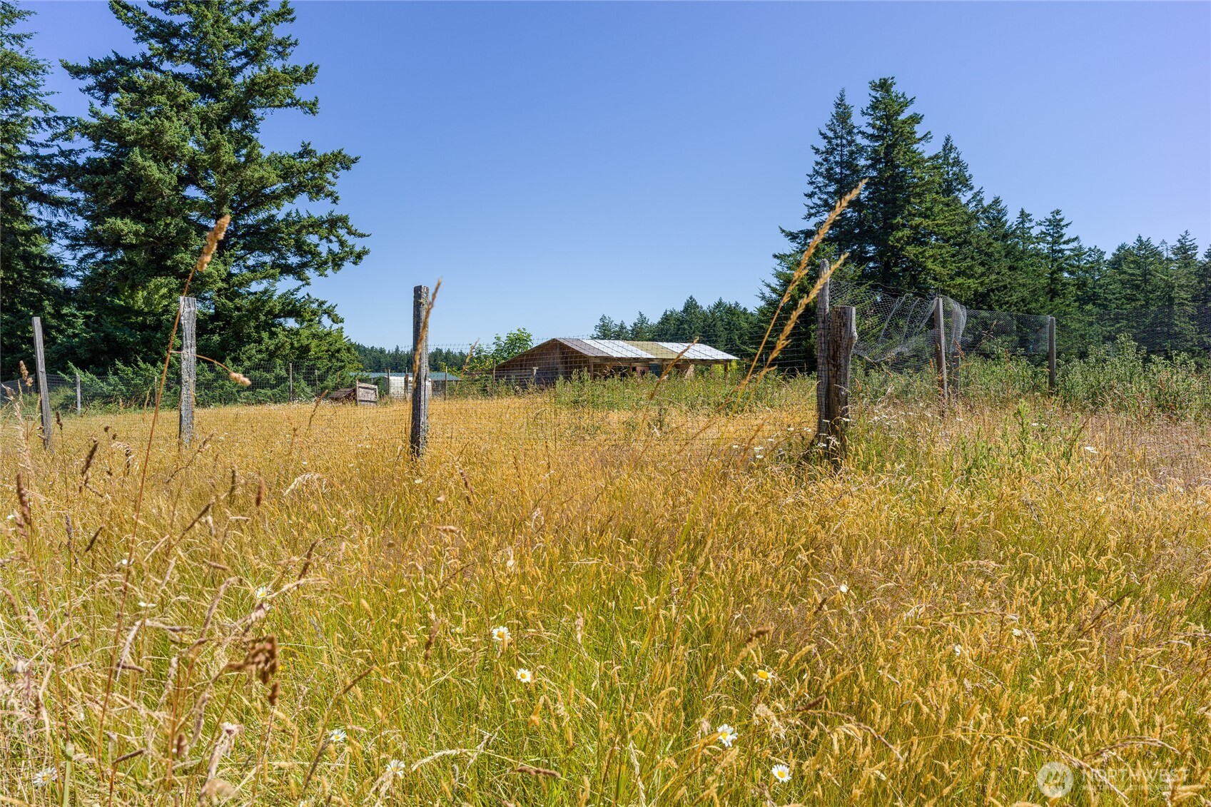 2783 Orcas Road