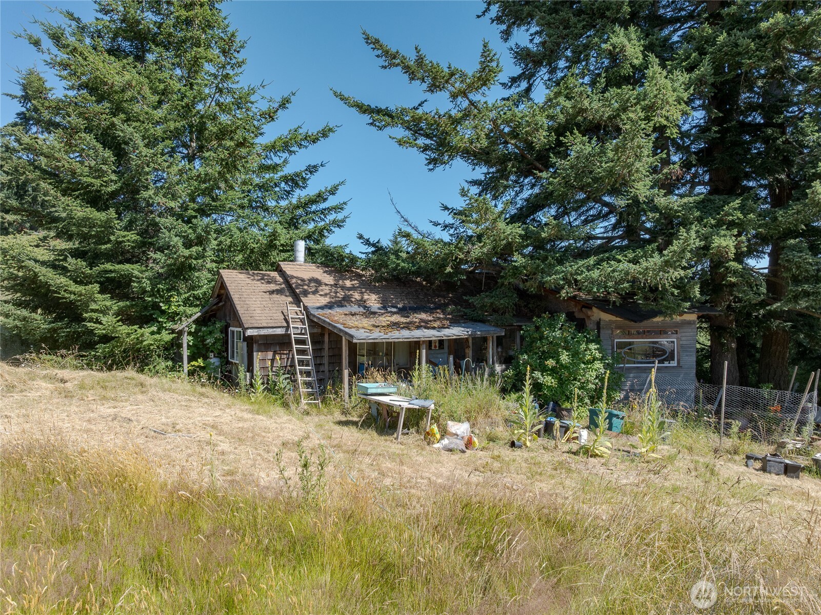 2783 Orcas Road