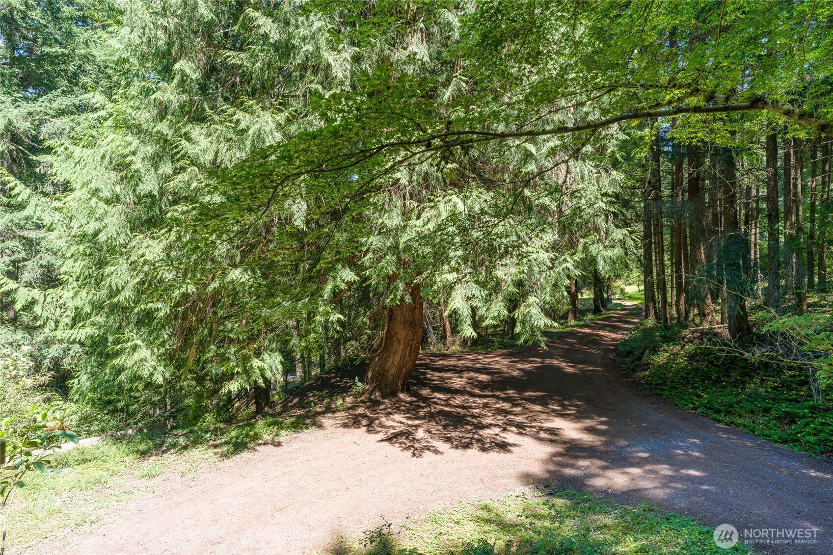 76 Lookout Loop