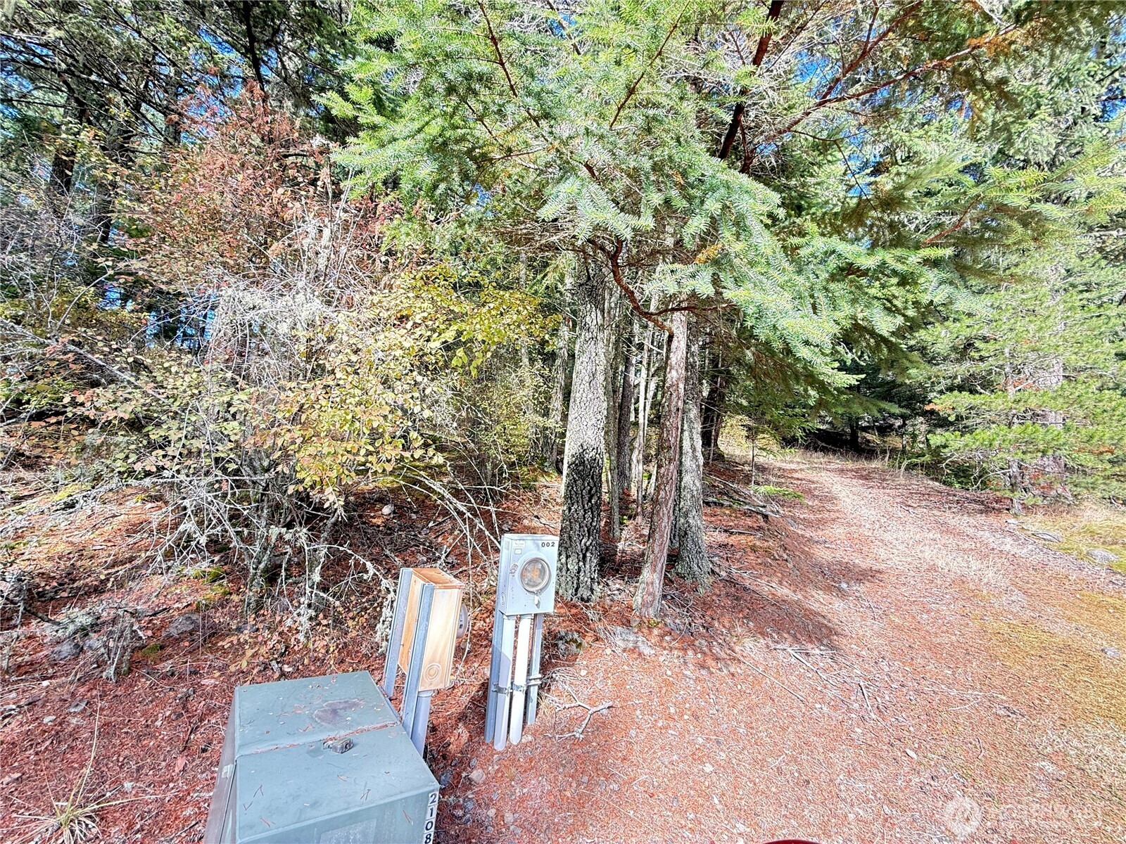 Wooded property with a gravel access path and utility meter.