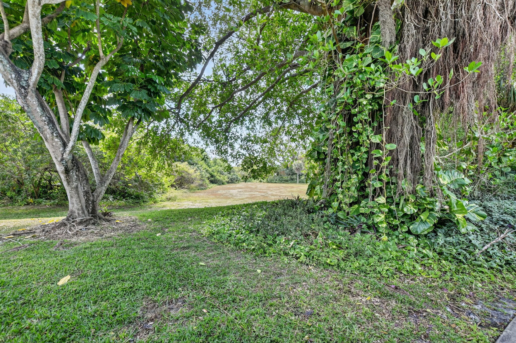 22958 Oxford Place D