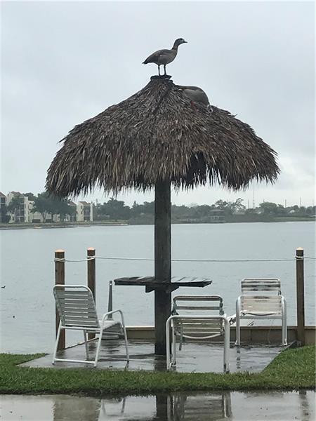 118 Lake Emerald 105