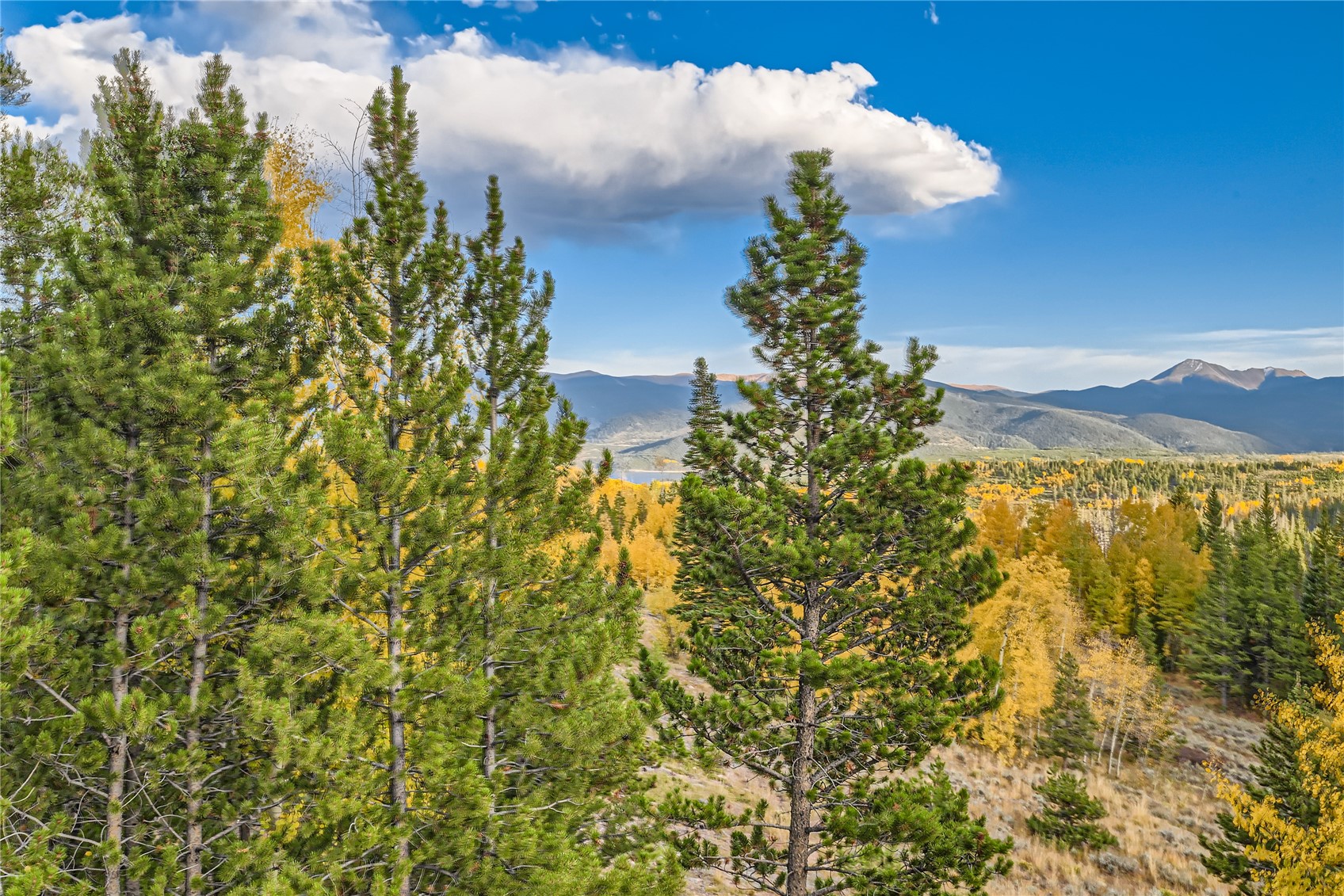 95100 Ryan Gulch ROAD 95121
