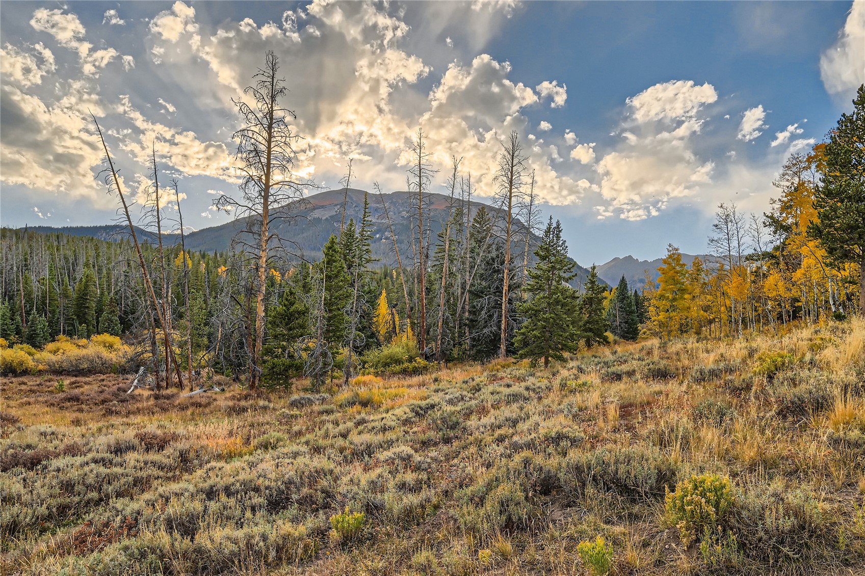 95100 Ryan Gulch ROAD 95121