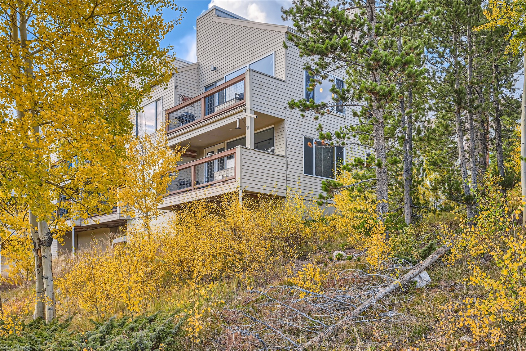 95100 Ryan Gulch ROAD 95121