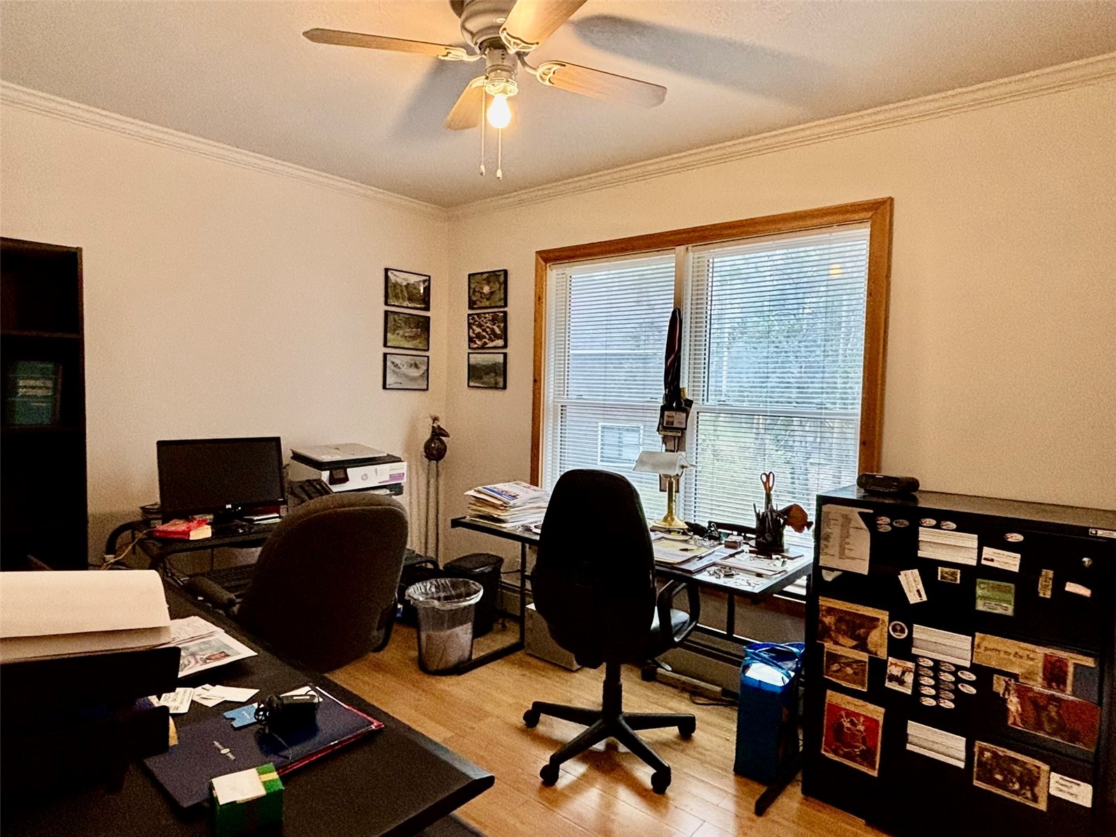 112 Grey Squirrel LANE