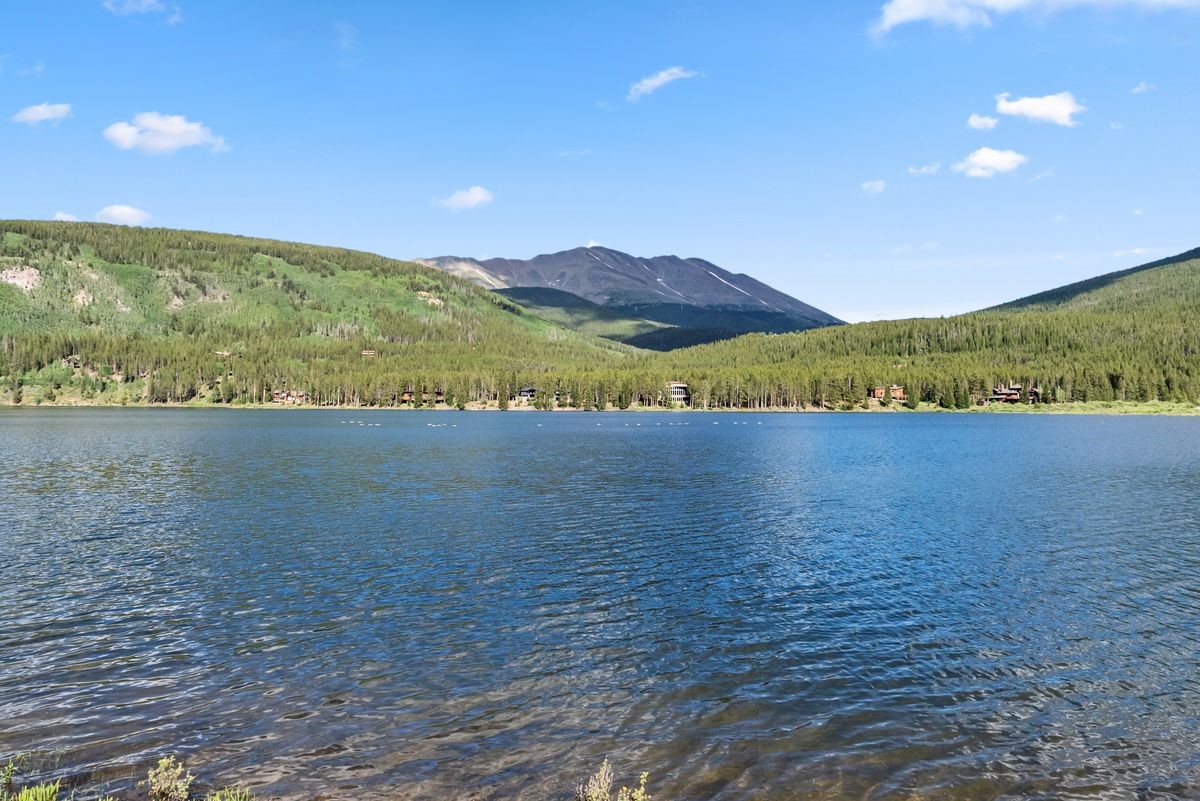 112 Grey Squirrel LANE