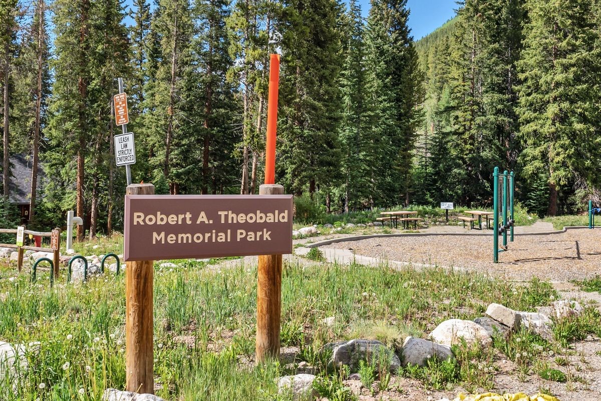 112 Grey Squirrel LANE