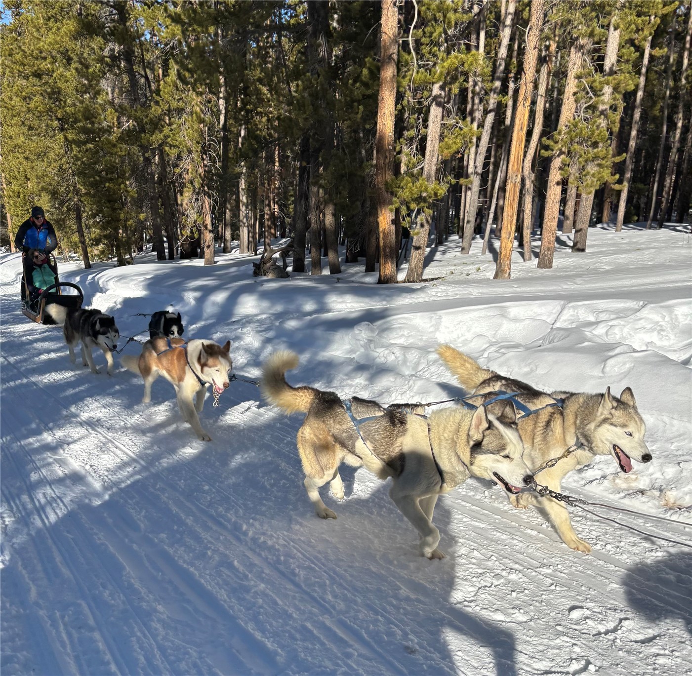 515 Miners View ROAD