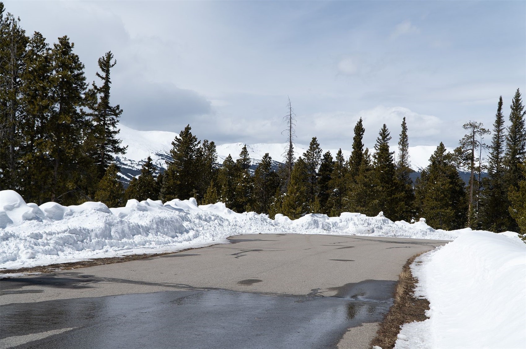 515 Miners View ROAD