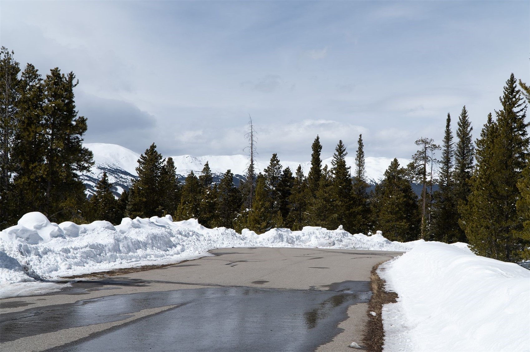 515 Miners View ROAD