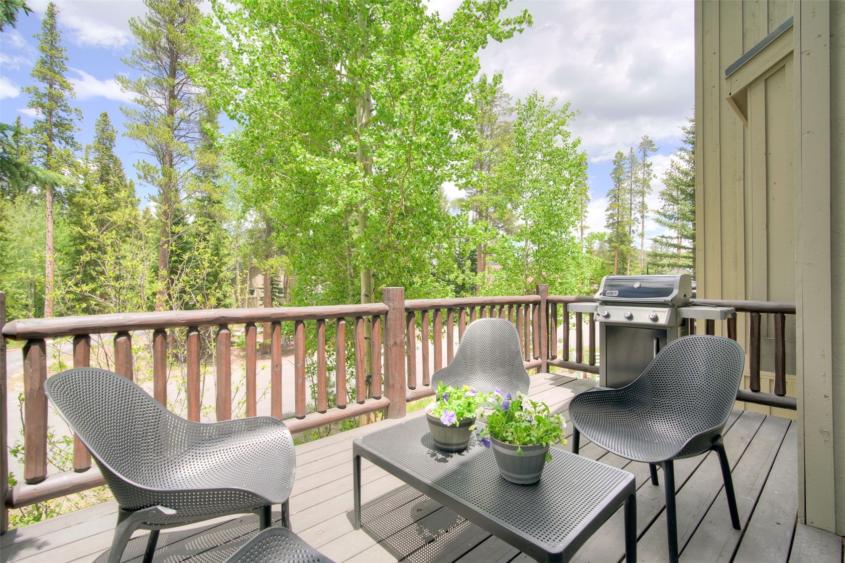 293 Settlers DRIVE