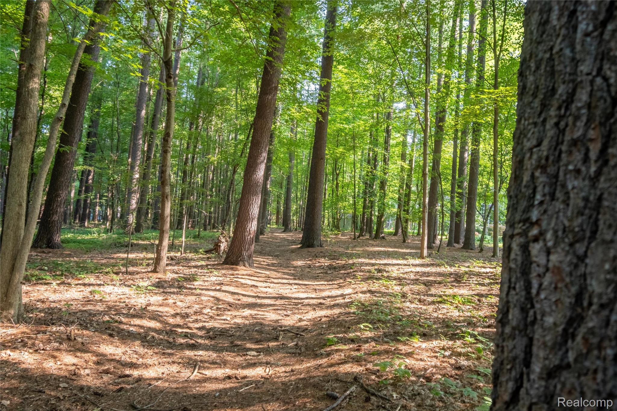 9268 Cumberland Court