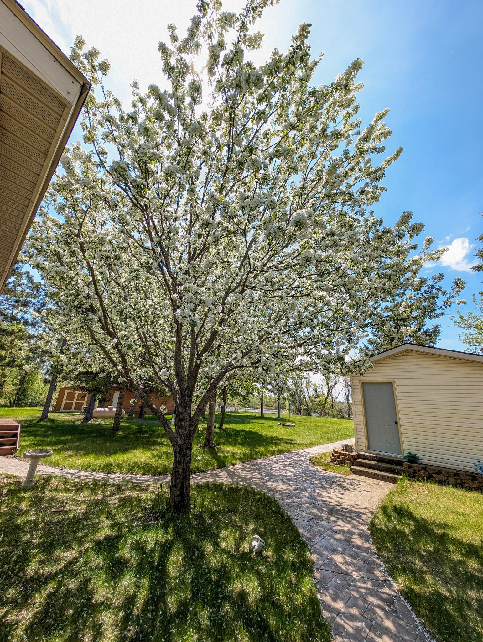 32141 Brightwood Shore Drive