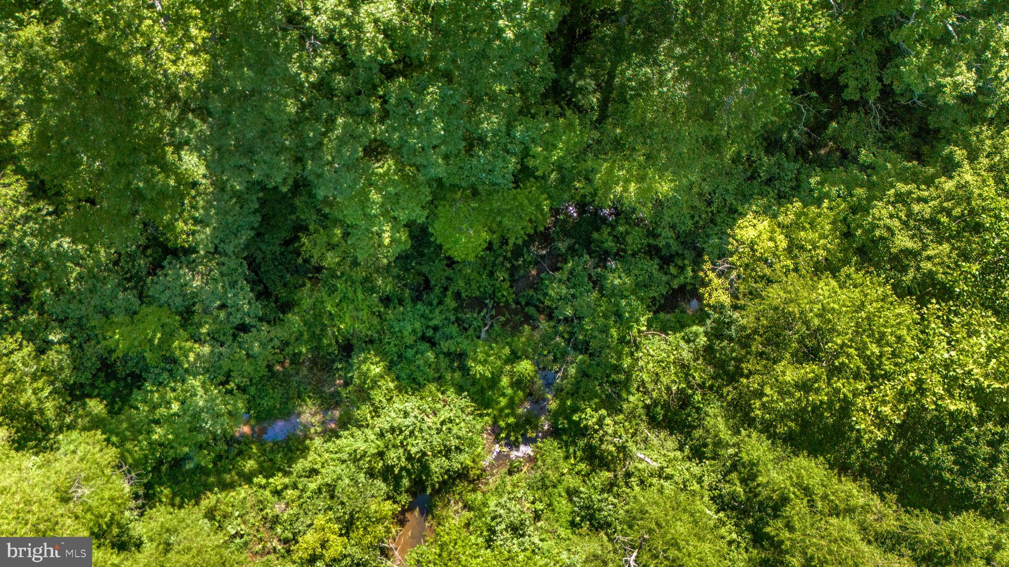 3485 Tabscott Rd