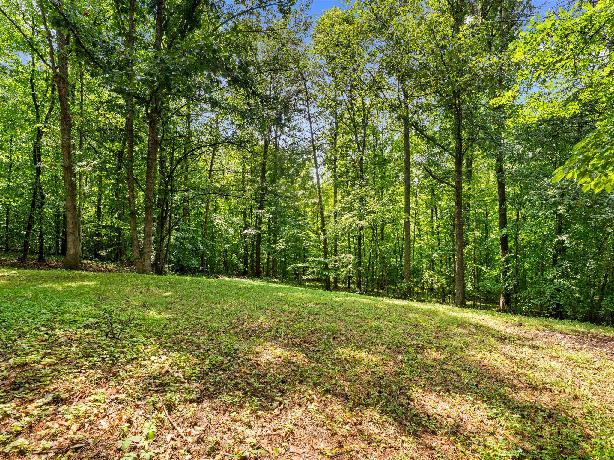 93 W CEDAR DRIVE