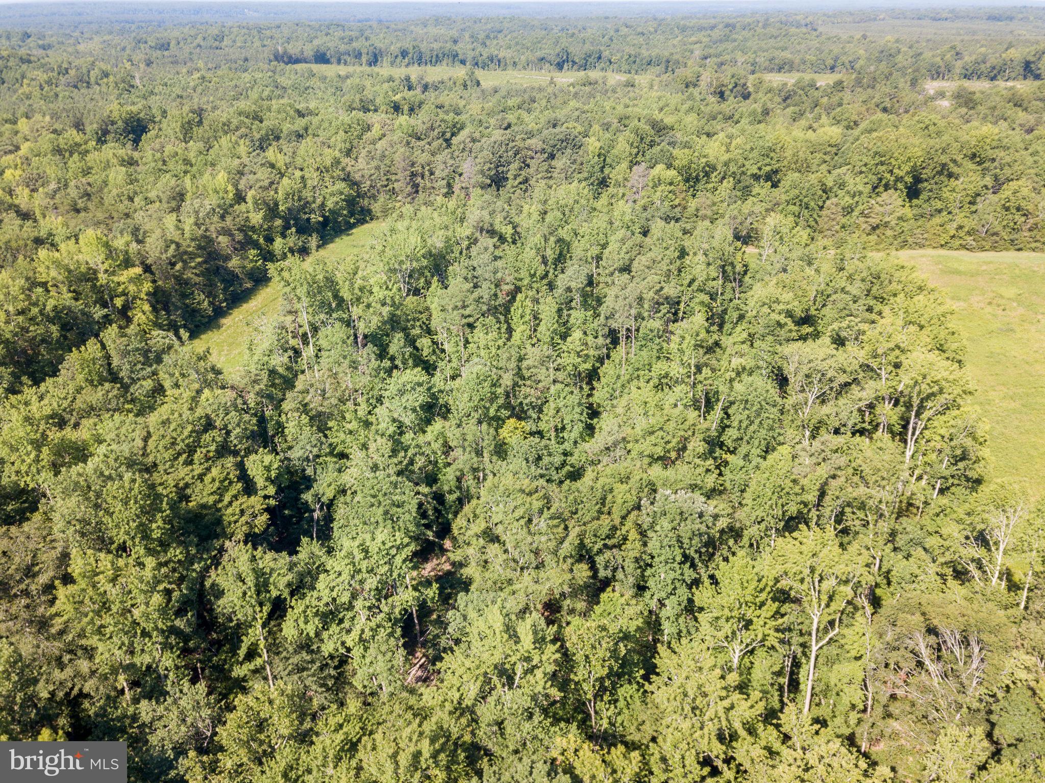 Lot A Stevensville Rd