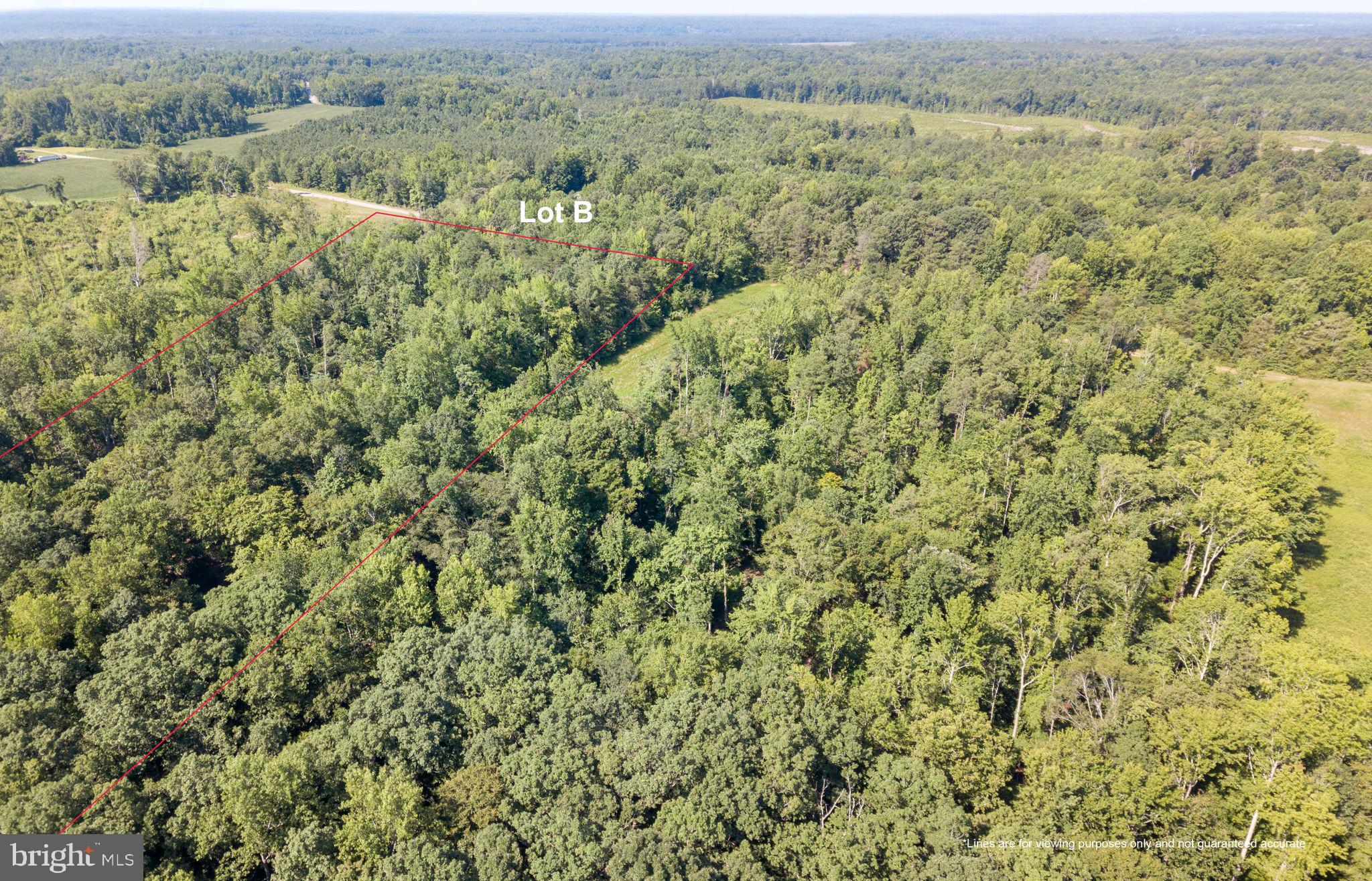 Lot B Stevensville Rd