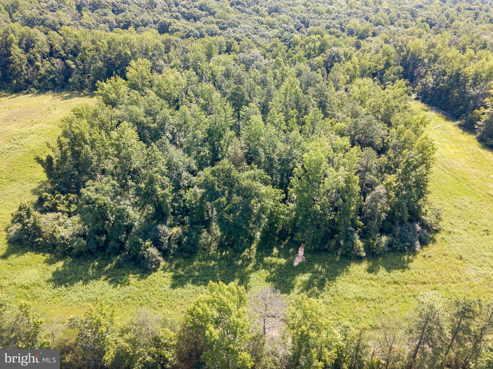 Lot B Stevensville Rd