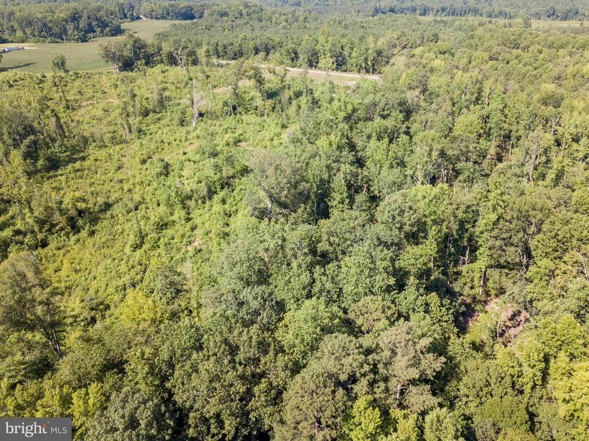 Lot B Stevensville Rd