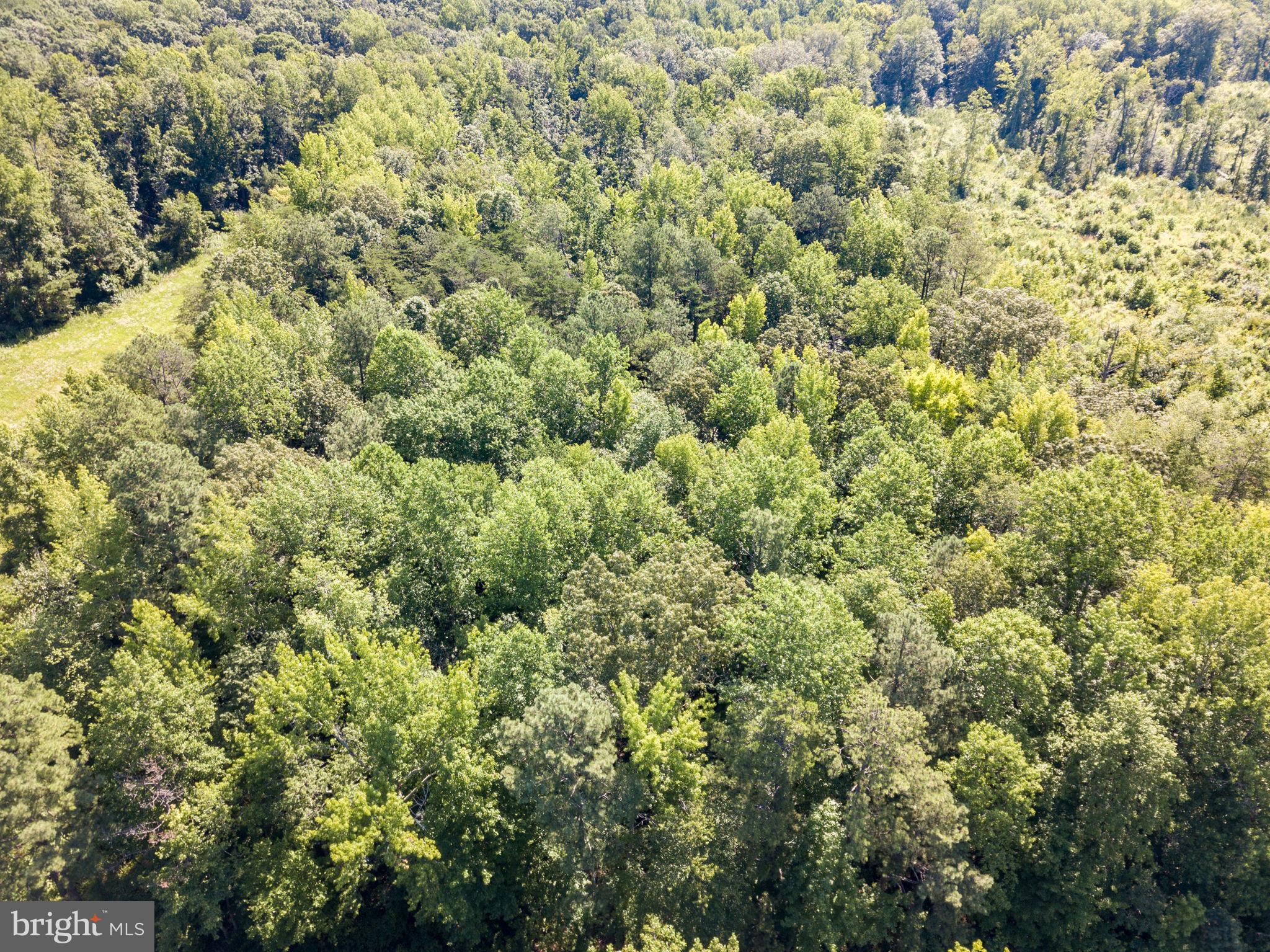 Lot B Stevensville Rd