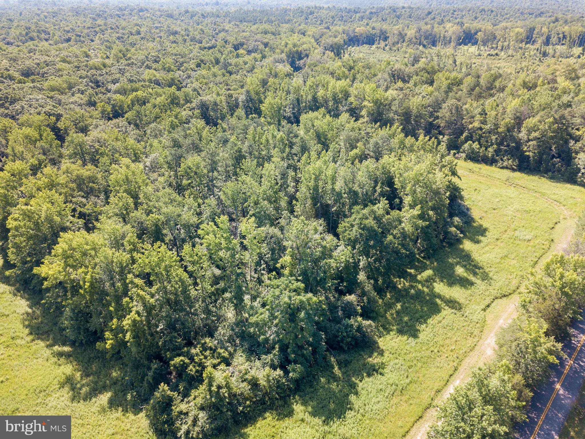 Lot B Stevensville Rd