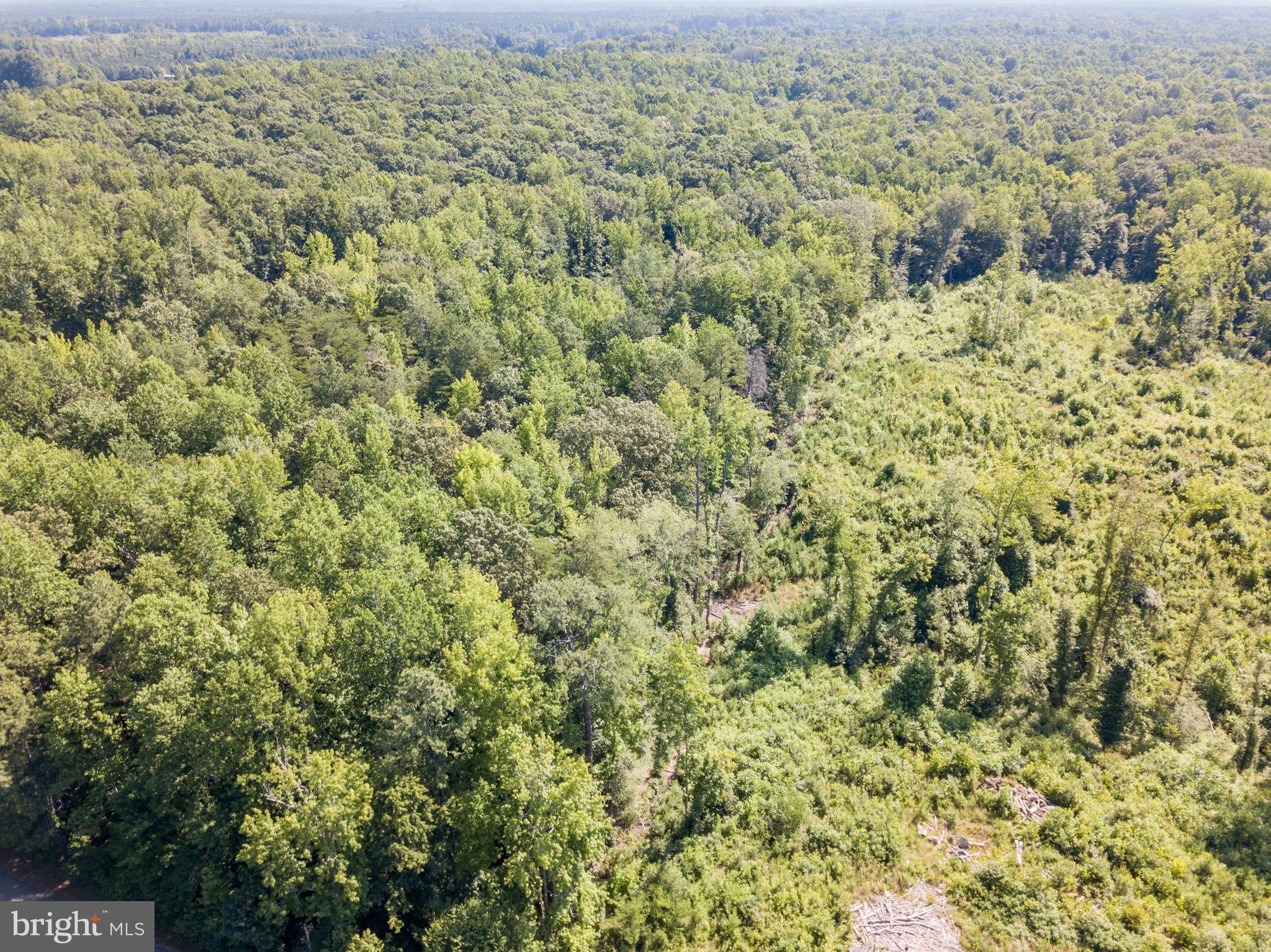 Lot B Stevensville Rd