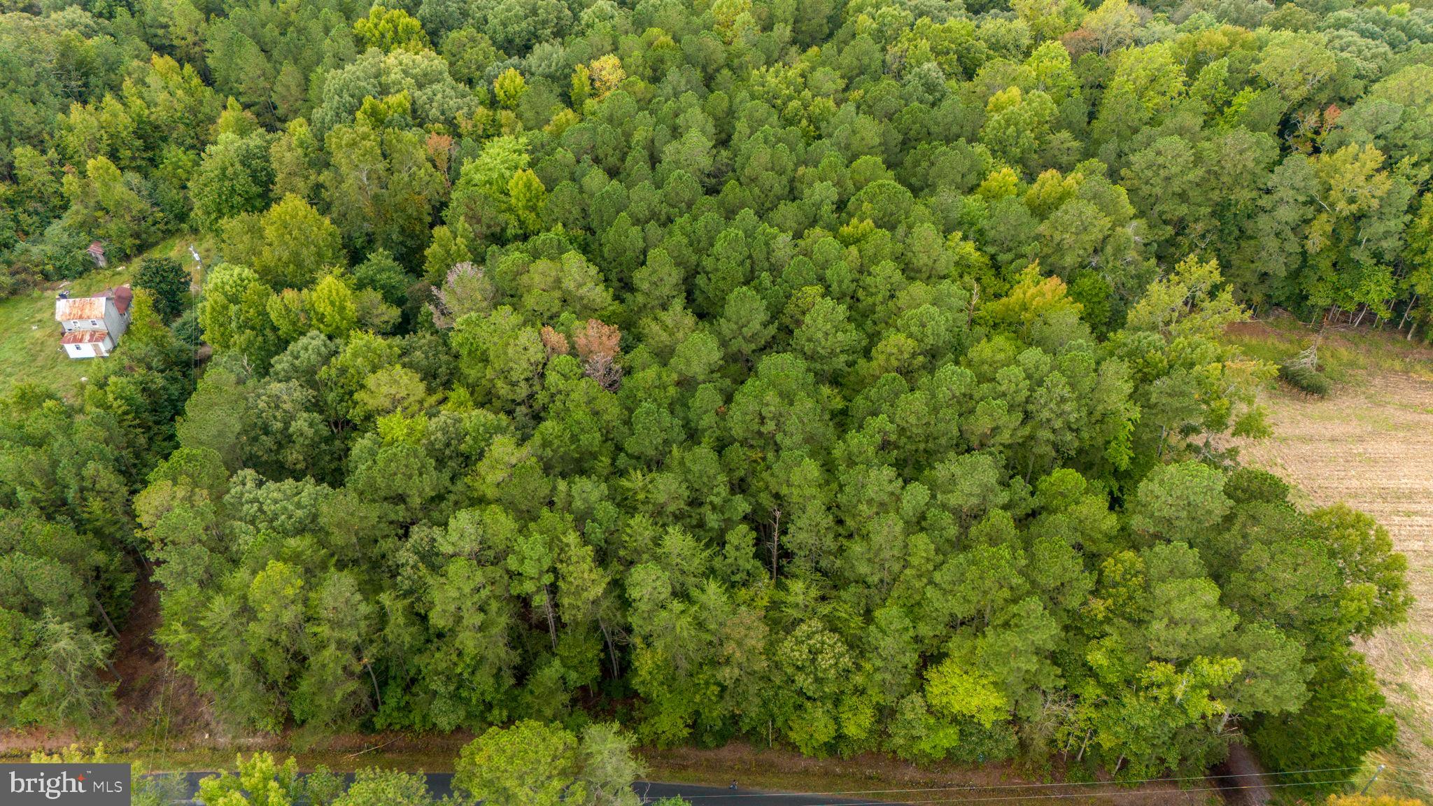Lot 21 Glebe Landing Rd