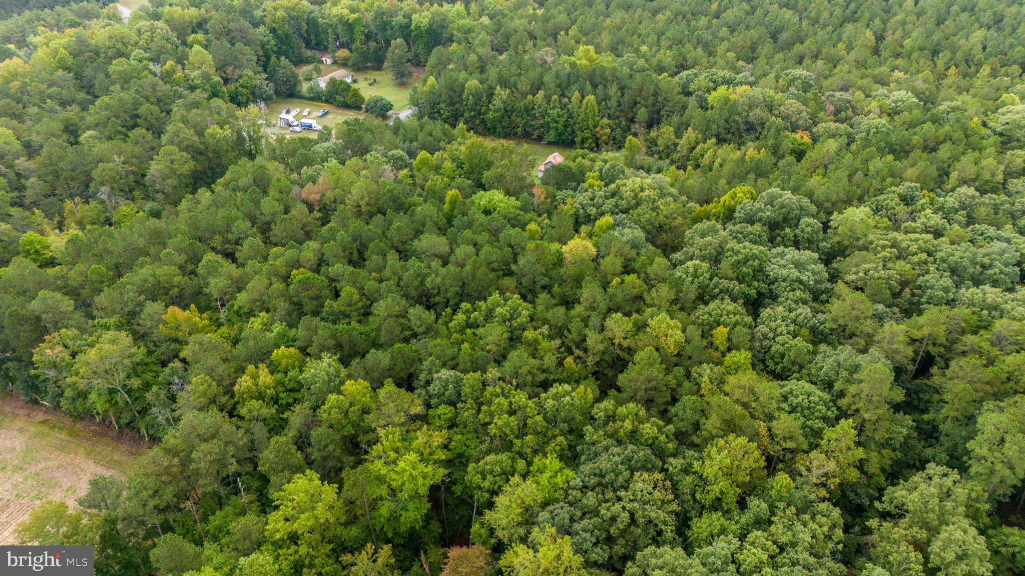 Lot 21 Glebe Landing Rd